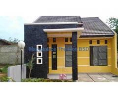 Tukang Perbaiki Rumah (Pak Hardi)