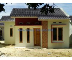 Tukang Perbaiki Rumah (Pak Anto)