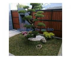 Tukang Taman / Kebun (Pak Agus)