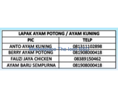 Lapak Daging Ayam Pasar Intermoda BSD