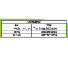 Lapak Daging Babi Pasar Intermoda BSD