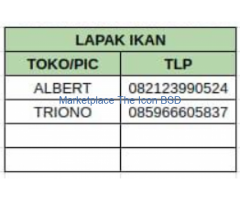 Lapak Ikan  Pasar Intermoda BSD